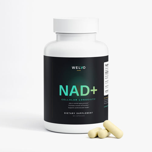 NAD+ — Cellular Longevity