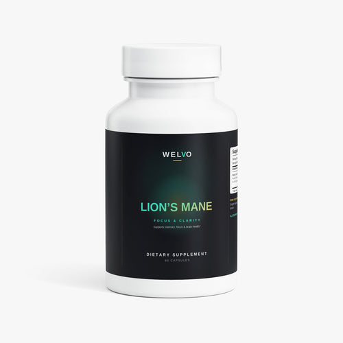 Lion's Mane — Focus & Clarity